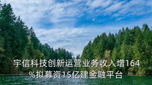  宇信科技創(chuàng)新運(yùn)營業(yè)務(wù)收入增164%擬募資15億建金融平臺