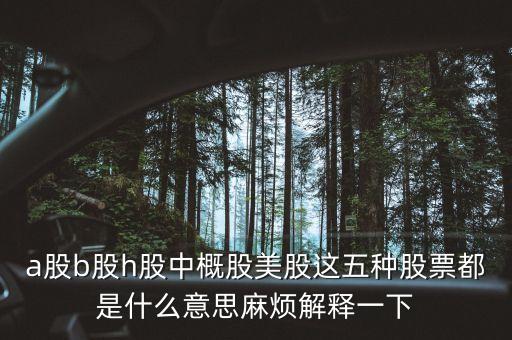 a股b股h股中概股美股這五種股票都是什么意思麻煩解釋一下