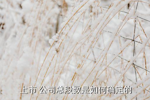  上市 公司總股數(shù)是如何確定的