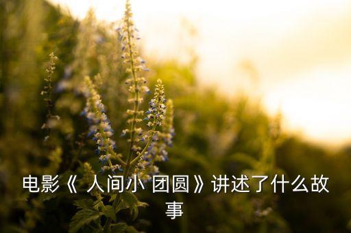 電影《 人間小 團(tuán)圓》講述了什么故事