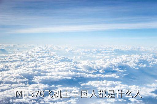 MH370飛機上中國人都是什么人