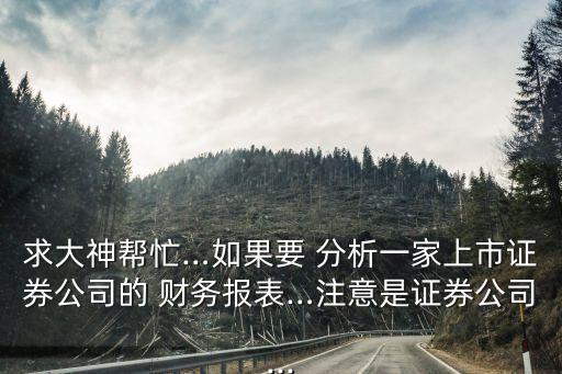 求大神幫忙…如果要 分析一家上市證券公司的 財務(wù)報表…注意是證券公司...