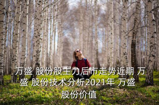  萬盛 股份股主力后市走勢近期 萬盛 股份技術(shù)分析2021年 萬盛 股份價值