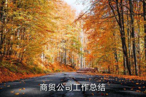 貿(mào)易分公司年度報(bào)告表,中國貿(mào)易便利化年度報(bào)告