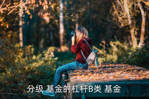 分級 基金的杠桿B類 基金