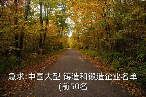 急求:中國大型 鑄造和鍛造企業(yè)名單(前50名