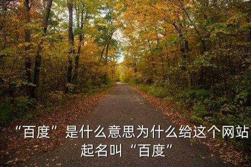 “百度”是什么意思為什么給這個網(wǎng)站 起名叫“百度”