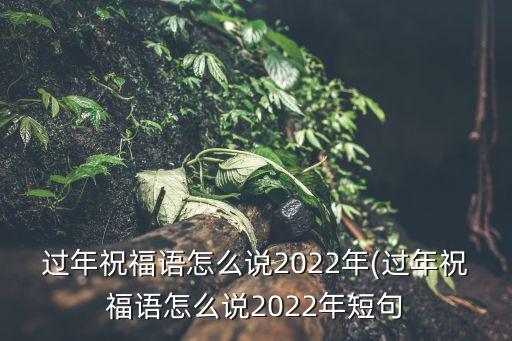 過年祝福語怎么說2022年(過年祝福語怎么說2022年短句