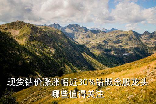 現(xiàn)貨鈷價漲漲幅近30%鈷概念股龍頭哪些值得關(guān)注