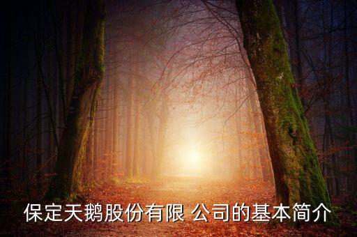 保定天鵝股份有限 公司的基本簡(jiǎn)介