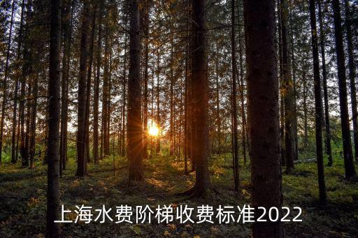 上海水費(fèi)階梯收費(fèi)標(biāo)準(zhǔn)2022