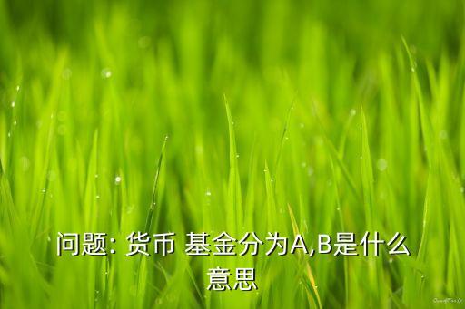 問(wèn)題: 貨幣 基金分為A,B是什么意思