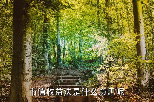 基金停牌股票估值方法,基金公司對(duì)股票進(jìn)行估值調(diào)整的部門(mén)是