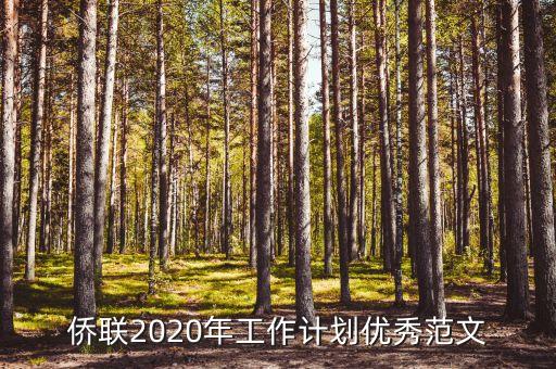 僑聯(lián)2020年工作計劃優(yōu)秀范文