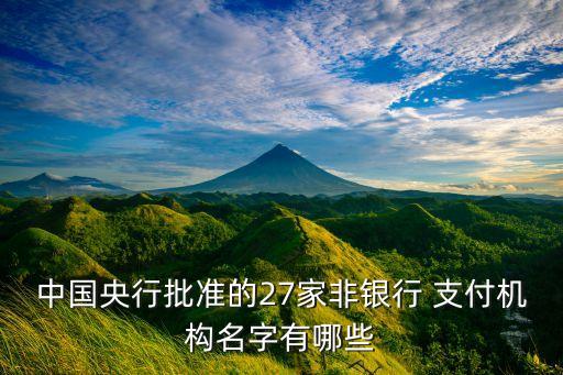 中國(guó)央行批準(zhǔn)的27家非銀行 支付機(jī)構(gòu)名字有哪些