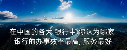 在中國(guó)的各大 銀行中,你認(rèn)為哪家 銀行的辦事效率最高, 服務(wù)最好