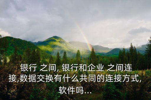  銀行 之間, 銀行和企業(yè) 之間連接,數(shù)據(jù)交換有什么共同的連接方式,軟件嗎...