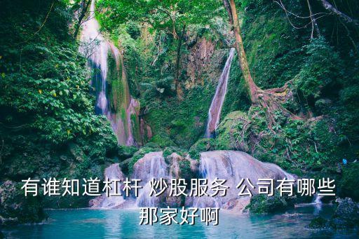 沈陽炒股公司排名,沈陽網(wǎng)約車公司排名