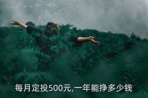 每月定投500元,一年能掙多少錢