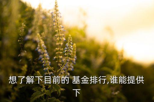 想了解下目前的 基金排行,誰(shuí)能提供下