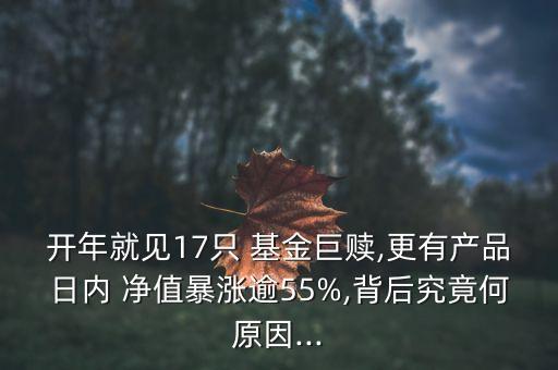 開年就見17只 基金巨贖,更有產(chǎn)品日內(nèi) 凈值暴漲逾55%,背后究竟何原因...