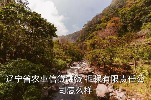 河北國豪擔(dān)保有限公司,河北融興擔(dān)保有限公司客服電話