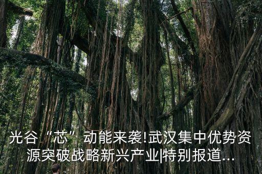 東湖創(chuàng)新科技投資有限公司,華能東湖環(huán)保科技有限公司