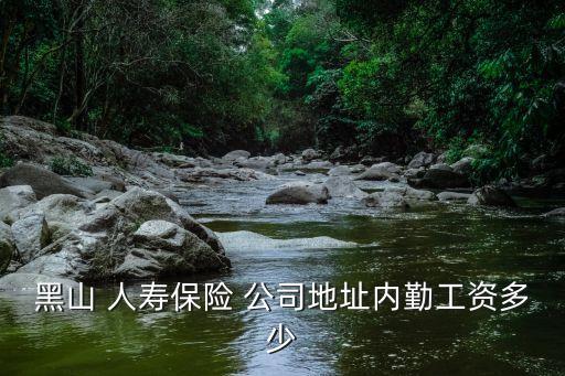 黑山 人壽保險 公司地址內(nèi)勤工資多少