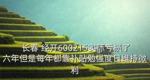  長春 經(jīng)開600215實際虧損了六年但是每年都靠補貼勉強度日維持微利