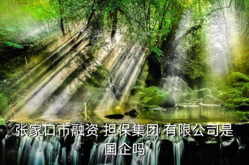 張家口市融資 擔(dān)保集團(tuán) 有限公司是國企嗎