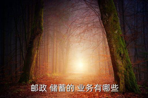  郵政 儲(chǔ)蓄的 業(yè)務(wù)有哪些