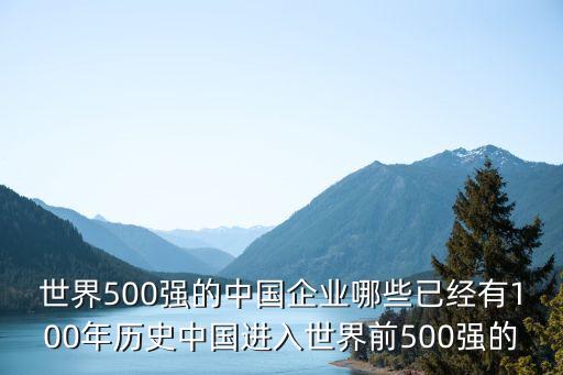 世界500強(qiáng)的中國企業(yè)哪些已經(jīng)有100年歷史中國進(jìn)入世界前500強(qiáng)的