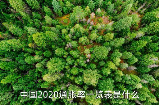 中國2020通脹率一覽表是什么