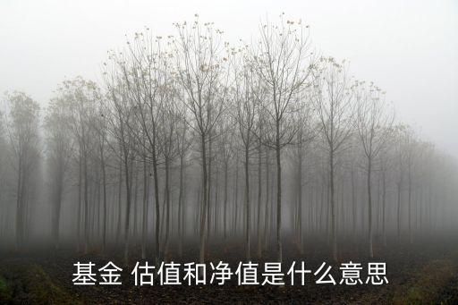  基金 估值和凈值是什么意思