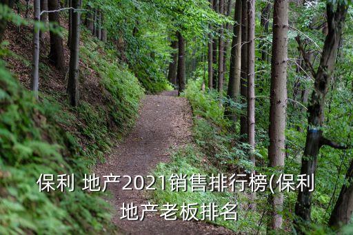 保利 地產(chǎn)2021銷售排行榜(保利 地產(chǎn)老板排名