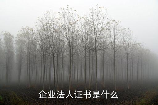 企業(yè)法人證書是什么