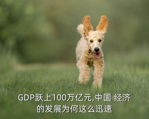 GDP躍上100萬億元,中國 經濟的發(fā)展為何這么迅速