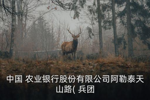 農(nóng)業(yè)銀行新疆兵團分行領(lǐng)導(dǎo)成員