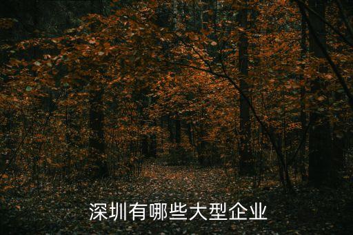 深圳正通電子設(shè)備服務(wù)有限公司,深圳天和時(shí)代電子設(shè)備有限公司