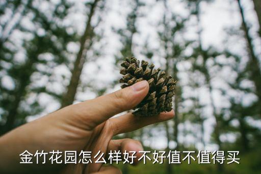 金竹花園怎么樣好不好值不值得買