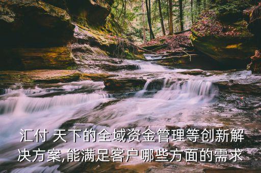  匯付 天下的全域資金管理等創(chuàng)新解決方案,能滿足客戶哪些方面的需求