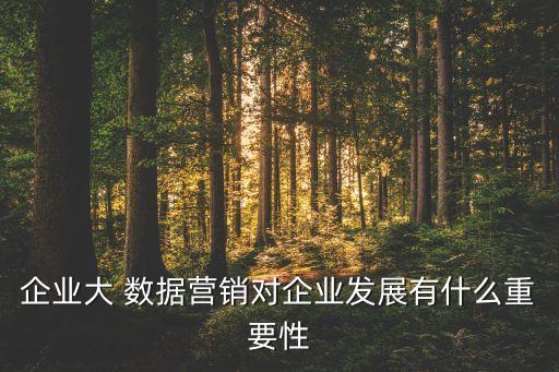 企業(yè)大 數(shù)據(jù)營銷對(duì)企業(yè)發(fā)展有什么重要性