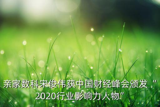 親家數(shù)科宋俊偉獲中國財(cái)經(jīng)峰會頒發(fā)“2020行業(yè)影響力人物”