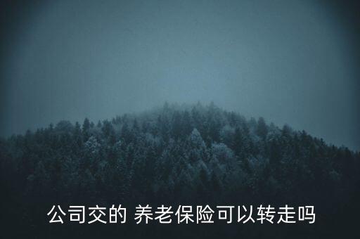 公司交的養(yǎng)老保險