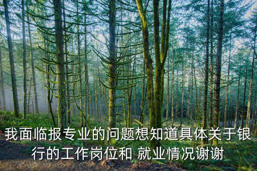 我面臨報專業(yè)的問題想知道具體關于銀行的工作崗位和 就業(yè)情況謝謝