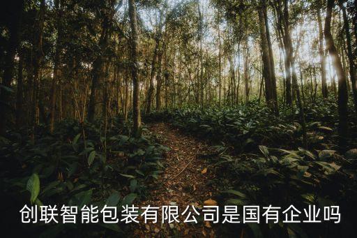  創(chuàng)聯(lián)智能包裝有限公司是國有企業(yè)嗎