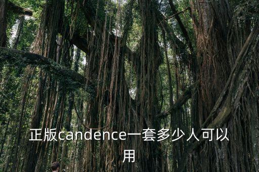 正版candence一套多少人可以用