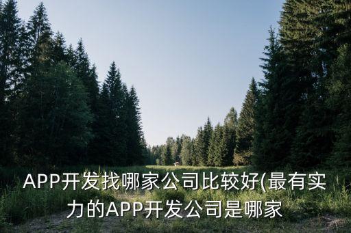 APP開(kāi)發(fā)找哪家公司比較好(最有實(shí)力的APP開(kāi)發(fā)公司是哪家