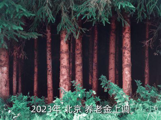 2023年 北京 養(yǎng)老金上調(diào)