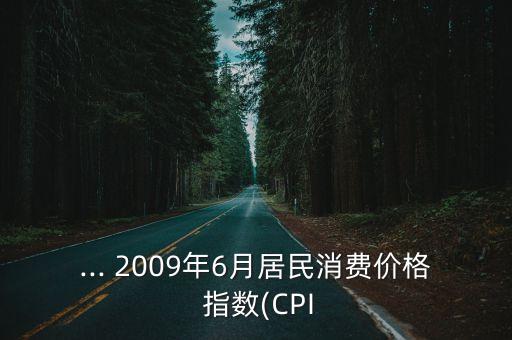 ... 2009年6月居民消費價格 指數(shù)(CPI